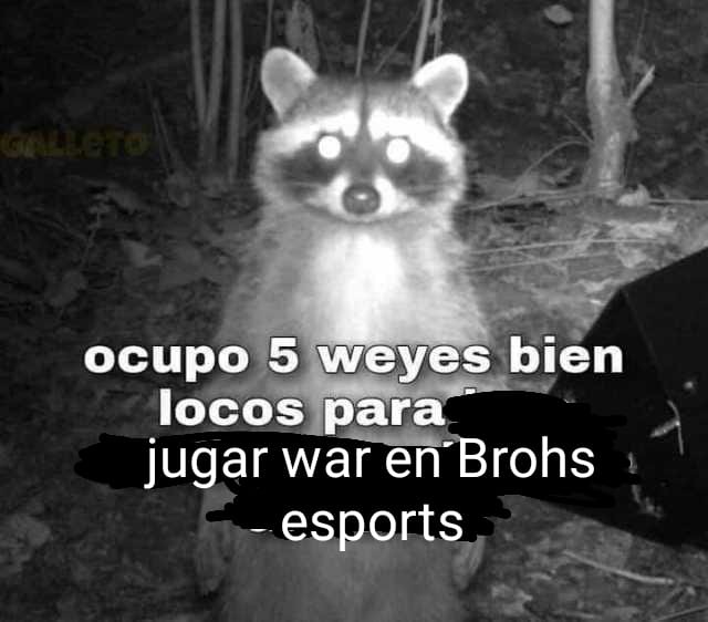 Brohs eSports (@brohs_esports1) on Twitter photo 