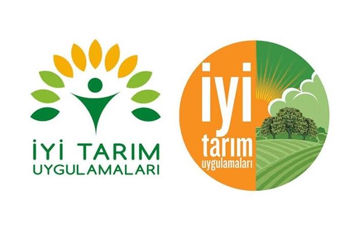 Aydın da İyi Tarım Uygulamaları kapsamında 2021 yılında 379 üretici ve işletme ile 4.444,6 Hektar alanda çalışma yapılmış, 146.085 Ton ürün elde edilmiştir.
#İyitarim #tarim #ciftci #tarimbakanligi #aydiniltarimveormanmudurlugu #valilik #aydinwebtv #aydinhaberleri #Egehaberleri