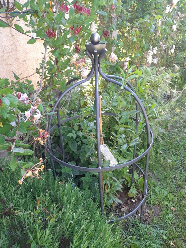 Excited to share the latest addition to my #etsy shop: Heavy duty lobsterpot- plant support - Blacksmith-garden feature-allotment - garden decoration - wrought iron -present-gift-wedding day etsy.me/3H8YHcf #plantsupports #metalsupports #gardening #gardendecora