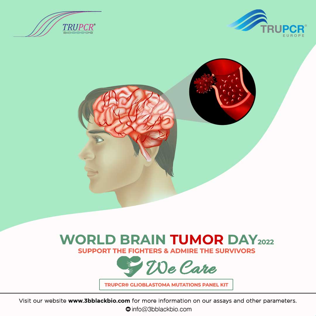 3B_BlackBio's tweet photo. Today, on World Brain Tumor Day, we pay Tribute to Brain Tumor Patients and their Families.

Get In Touch:

Call - 755 407 7847 / 755 407 6518
Email - info@3bblackbio.com
Visit - https://t.co/iKHFWismcp

#3BBlackBio #TRUPCR #WorldBrainTumorDay2022 #BrainTumor #Health #treatment https://t.co/MHFGKXU2rL