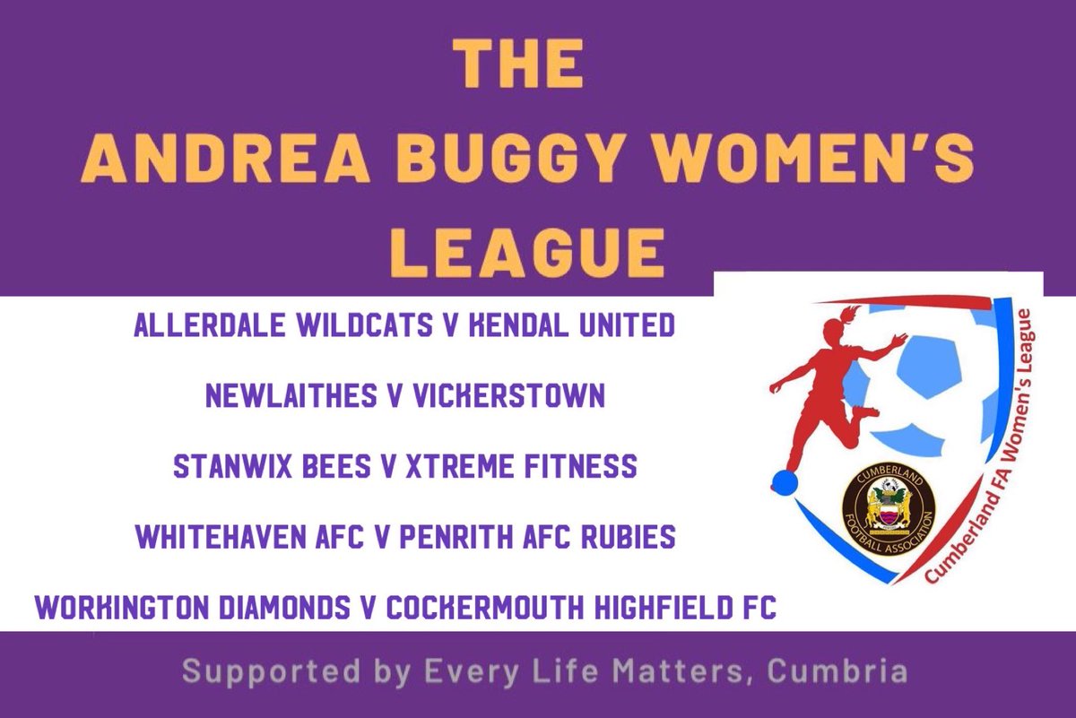The Andrea Buggy Women's League tweet media