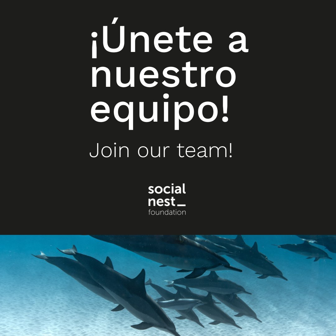 Social Nest Foundation | Making impact grow tweet media