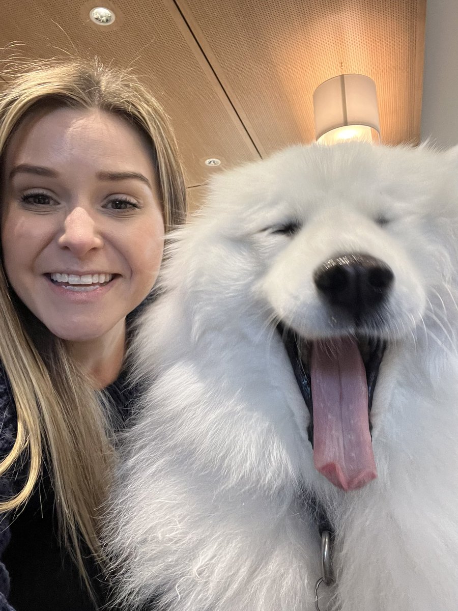 Cathy Belme tweet media