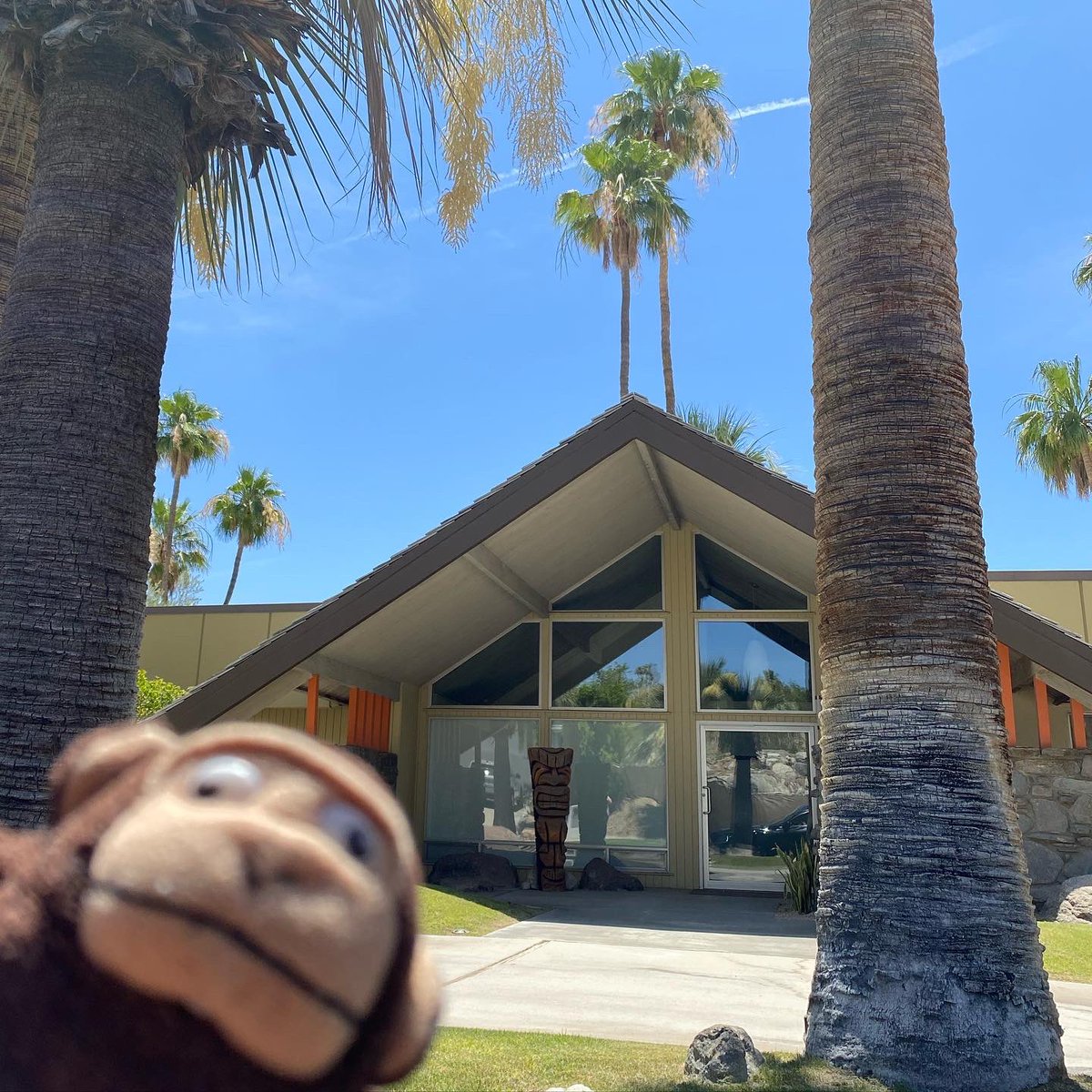greenietravels's tweet photo. It’s like browsing through Zillow in real life!
.
.
.
#midcenturymodern #midcenturymoderndesign #thehollywoodhouse #kaufmandeserthouse #tikihouse #elvishoneymoonhideaway  #houseoftomorrow #palmsprings #greeniedoespalmsprings https://t.co/GYSeuD3GcB