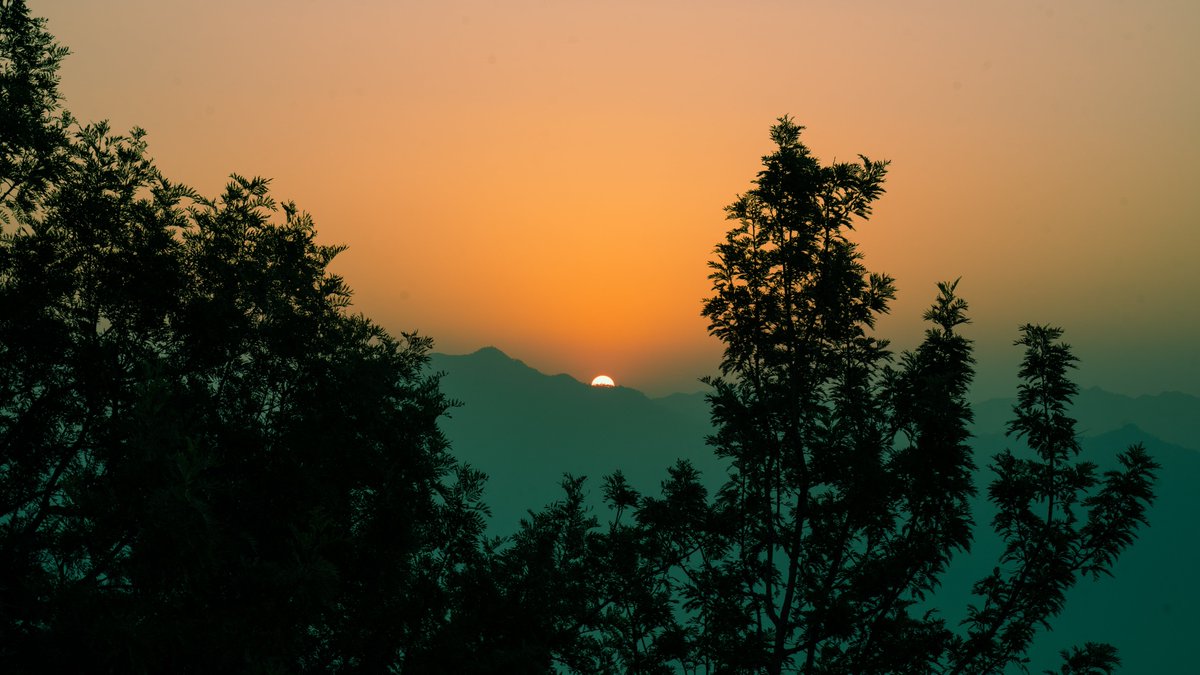 WorldPeaceIndia's tweet photo. Sunday Excursion | Kunjapuri Trip | World Peace Yoga School
#excursion #travel #nature #trip #tour #adventure #photography #vacation #a #hiking #turismo #trekking #n #monta #mountains #summer #holiday #travelphotography #traveling https://t.co/CoNAIPVngM