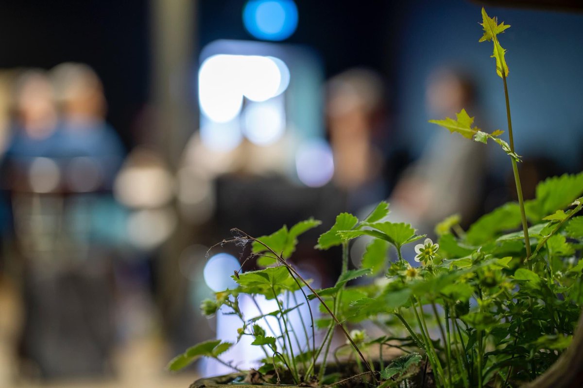 Uta Atzpodien tweet media