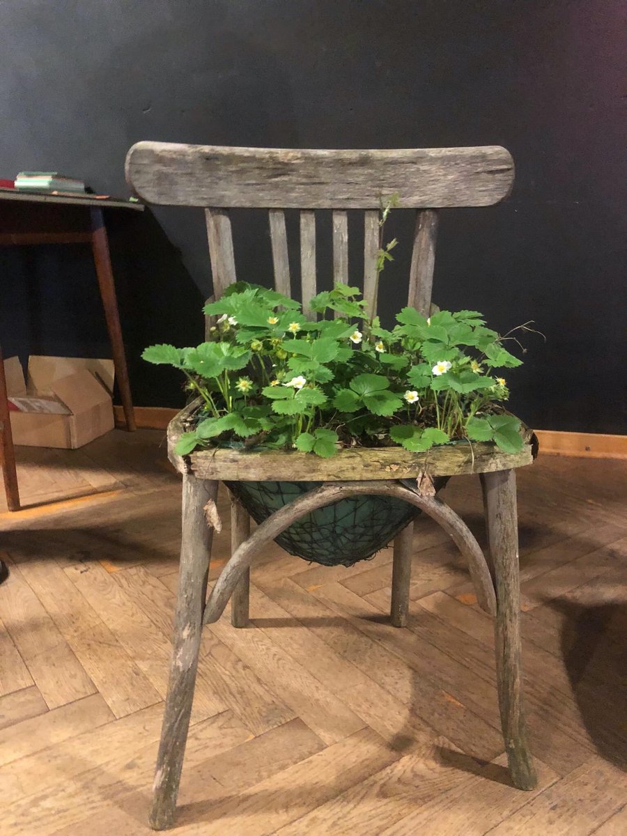 Beim Barcamp „und.jetzt! Kunst Kultur Klimanotstand“ Ende Mai dabei: Pflanzen, Erde, schmelzendes Eis und Müll. Was und wie können wir gemeinsam gestalten? Unterwegs mit @WannerMatthias @dotzert_sina Michael Felstau und anderen, im Insel e.V. im <a href="/CafeAdaWtal/">CafeAda</a>