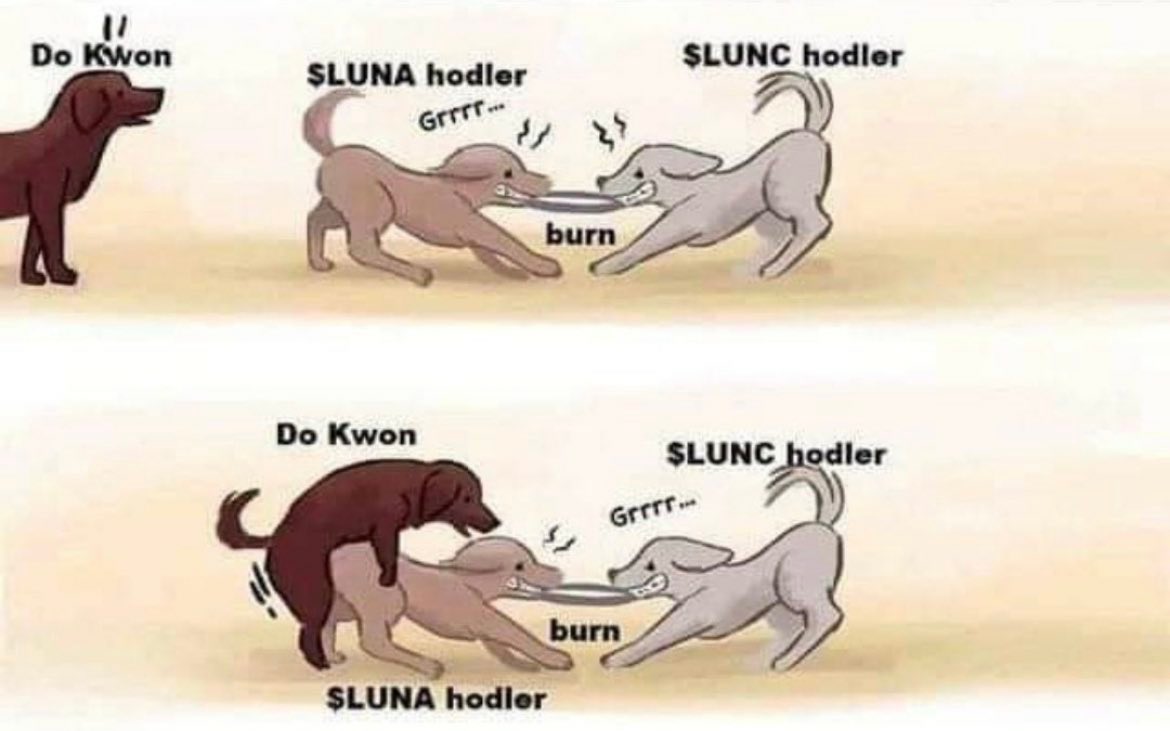 crypto_zener's tweet photo. $LUNA $LUNC @elonmusk https://t.co/KB8IVJj4A7