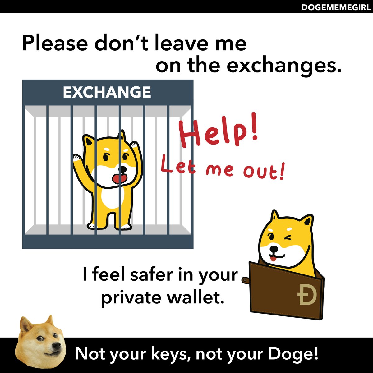 Dogememegirl's tweet photo. Not your keys, not your #Doge!!! 😱😱😱 #dogecoin https://t.co/R0UHQz0OL5
