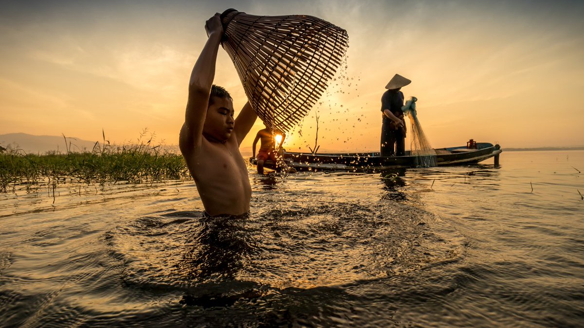 UNHumanRights's tweet photo. On #WorldOceansDay🌊, we promote the rights of small-scale fishers –@mbachelet.

Small-scale fishers must be supported by States, &amp; their participation will be crucial in achieving zero hunger, fighting climate change &amp; protecting biodiversity.

https://t.co/PA7aVRzbT0

#WOD2022 https://t.co/QNfsoSofNq