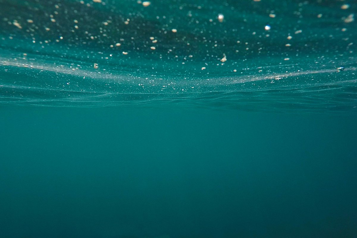 Happy World Ocean's Day🌊! The #oceans are the lungs of our #planet, providing most of the oxygen we as humans breath. This means we, as humans, need to keep our oceans and rivers clean💪. 

#worldoceansday #Savetheplanet #oceanlove #oceanconservancy #OceanRescue