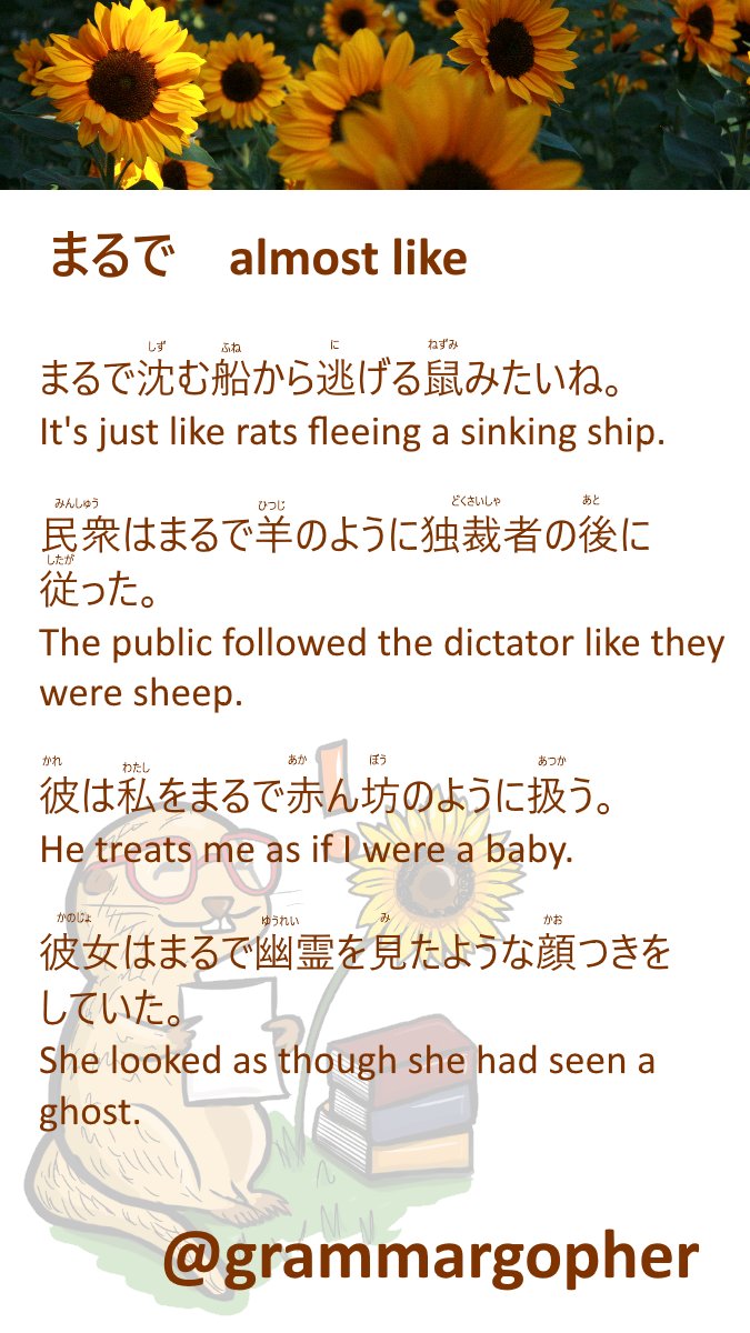 Grammargopher Grammargopher Twitter