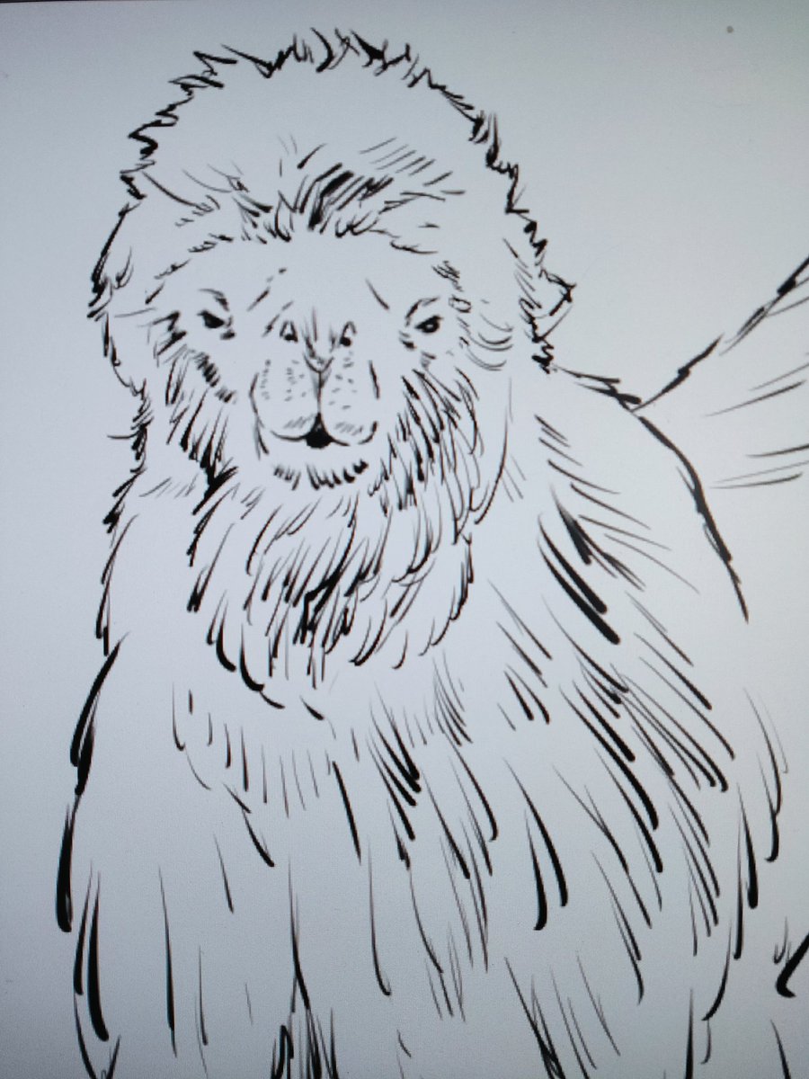 多分初めて描いている生き物だけど、描くために改めて見ると訳が分からな過ぎて不安になる…(フタコブラクダ) 