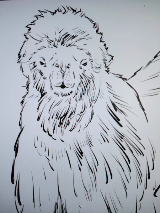 多分初めて描いている生き物だけど、描くために改めて見ると訳が分からな過ぎて不安になる…(フタコブラクダ) 