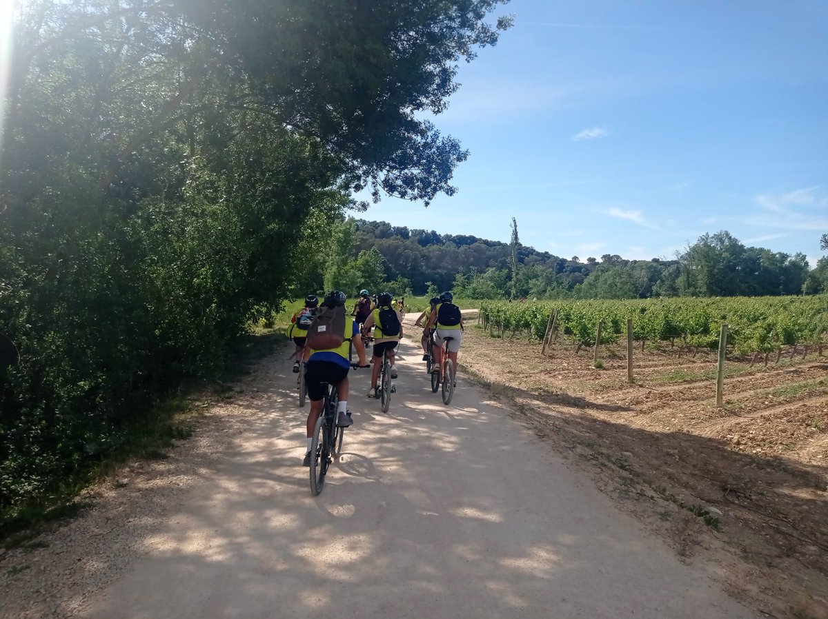 sancernin's tweet photo. Tercera jornada para nuestros erasmus ciclistas. Hoy se desplazarán hasta Viana.
Os dejamos algunas imágenes más de ayer.
#colegiosancernin #erasmusplus #eurovelo3 @bedelcollege #educaciónplurilingüe #français #educaciónsecundaria #proyectosinternacionales https://t.co/Wc5g5k2bMB