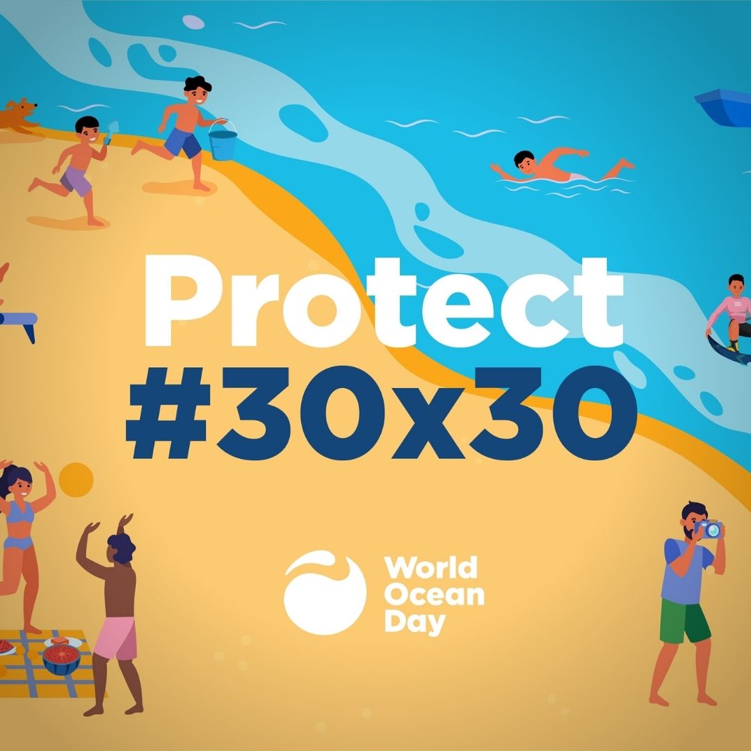 Microbz Probiotics tweet media