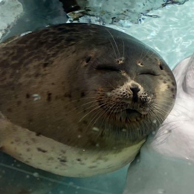 ogtkh's tweet photo. #新しいプロフィール画像 https://t.co/v0LfzCdYYi