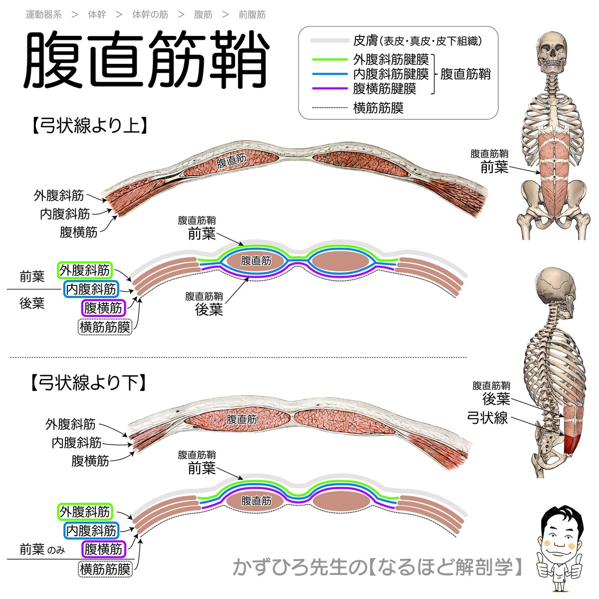 公の場での発言・インタビュー報道記録