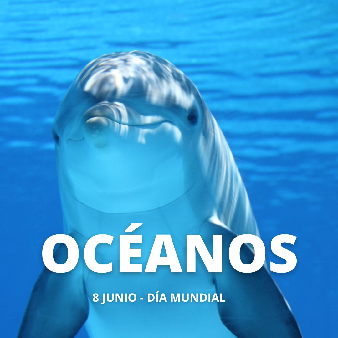 luisgm_profe's tweet photo. El océano cubre más del 70% del planeta. Es nuestra fuente de vida y sustento de la humanidad y de todos los demás organismos de la tierra.
Debemos trabajar juntos para crear un nuevo equilibrio en el que no agotemos todo lo que este nos ofrece y restauremos su vitalidad. https://t.co/QPctyIq4CO