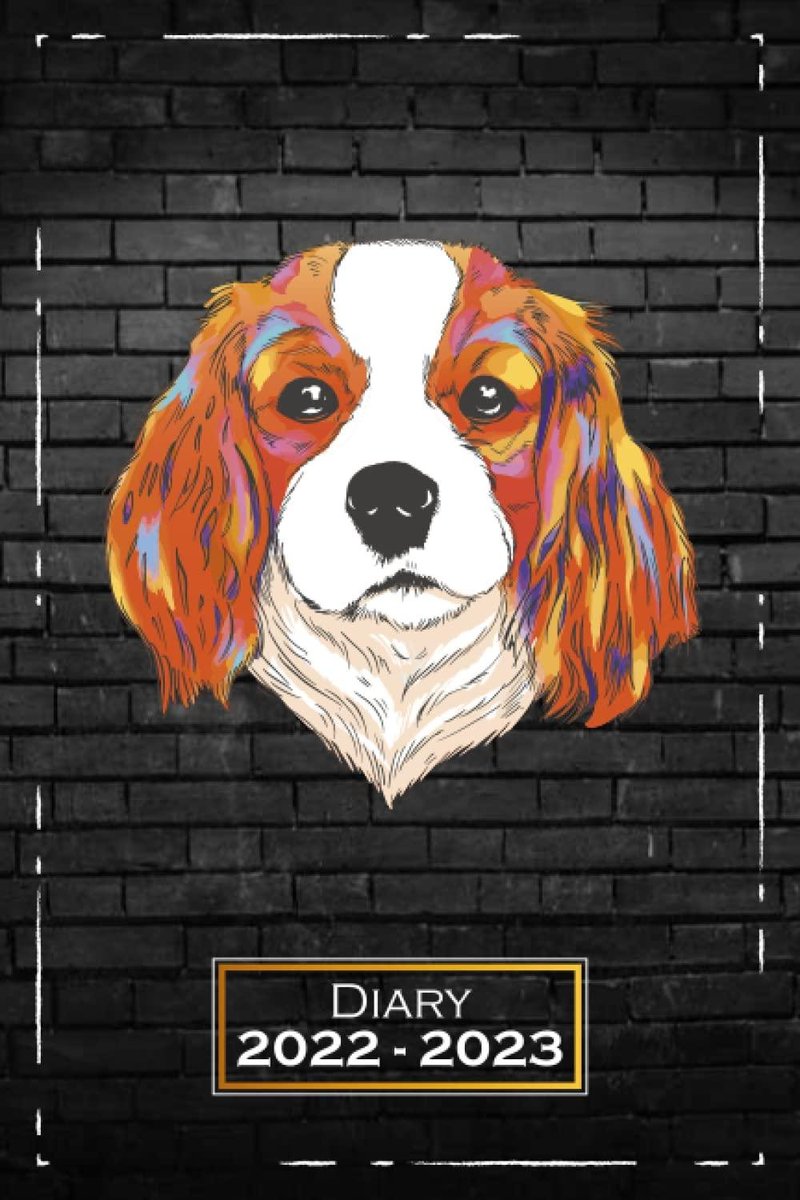 read-pdf-diary-2022-2023-a5-6x9-from-july-2022-to-june-2023-one