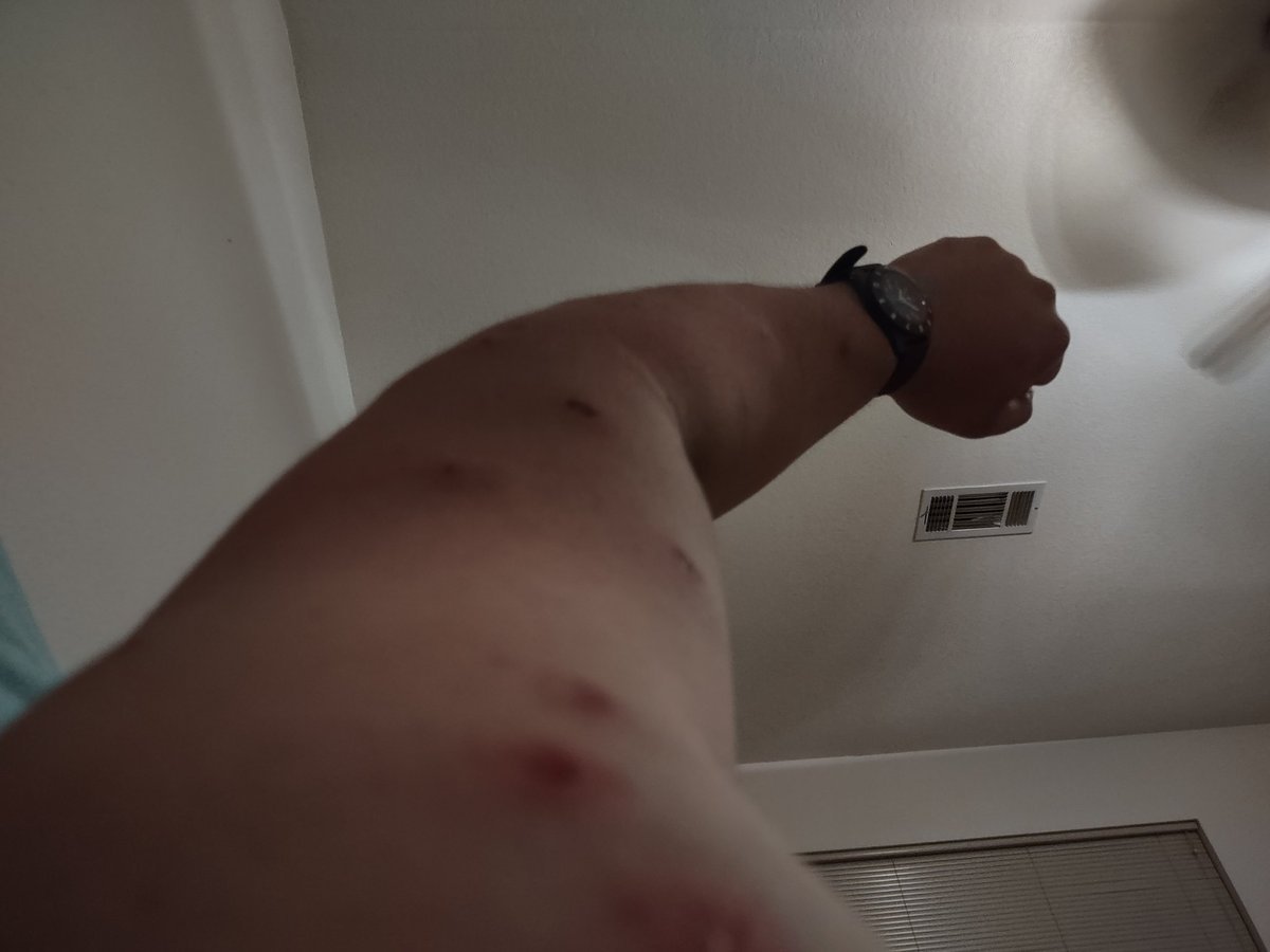 opfor8r's tweet image. Like fighting hornets #UTM #simunition #darc