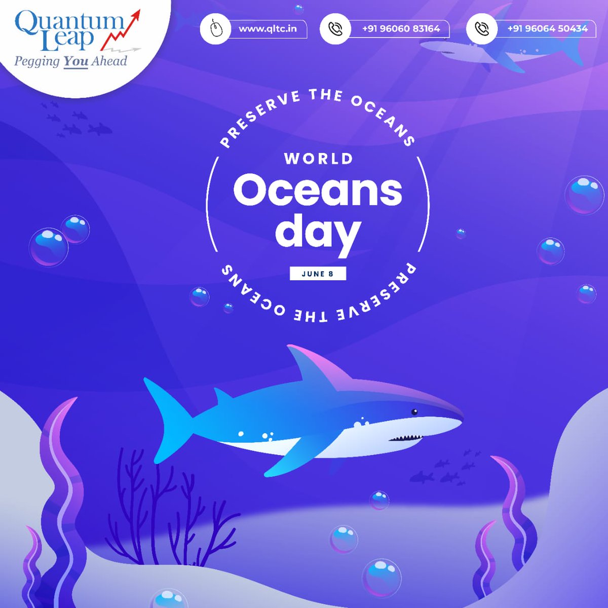qltc_in's tweet photo. One drop of water helps to swell the ocean, none are too small, too feeble, too poor to be of service. Think of this and act.
.
.
https://t.co/vV5tn80tUW
.
.
#quantumleap #qltc #WorldOceanDay #oceanday #WorldoceanDay2022 #oceans #water https://t.co/2Kw4hbxyQ9