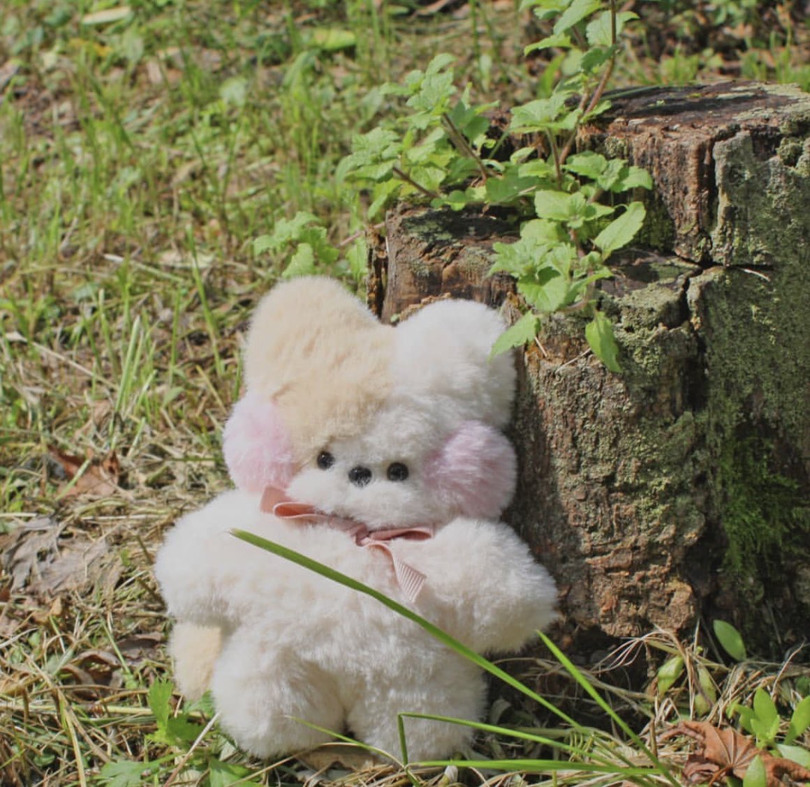 오늘도 활기찬 하루✨
다들 수분 잘 섭취하시고 건강한 하루보내세요