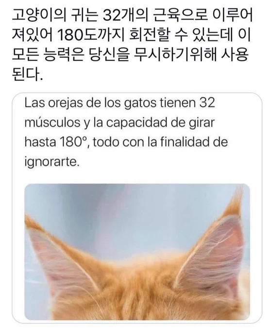 나가이 케이는 한 번 들은건 대부분 기억하는 기억력과 뛰어난 두뇌를 지녔지만 이 모든건 당신을 무시하기 위해 쓰입니다 