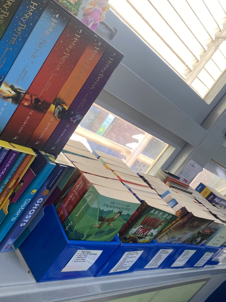 MissLam_'s tweet photo. Thank you @Genelle029 for supplying our classrooms @FairWestPS new sets of quality books for our students to read. Definitely a lot of excitement in 6L when they arrived! #futureleaders #aloveforreading https://t.co/tQF12jtLJ3