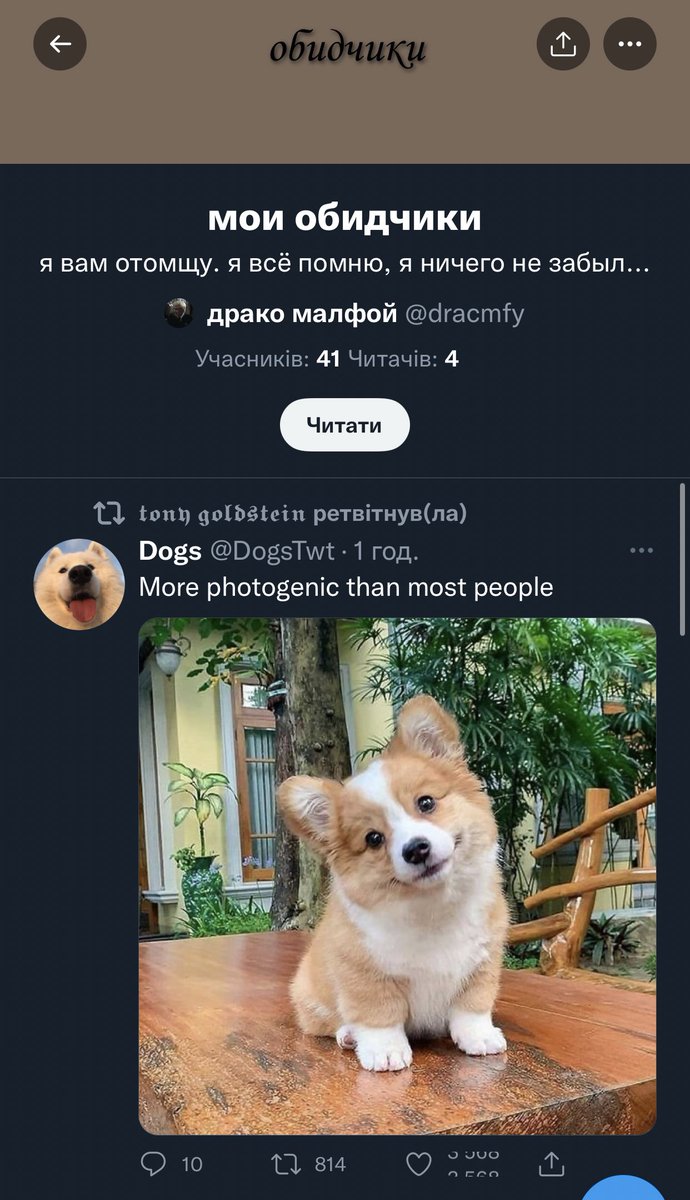 ZachariASSmi's tweet photo. Ладно я обидчик, хотя так и не понял как. НО СОБАЧКА??? https://t.co/OeS1UUrQOo