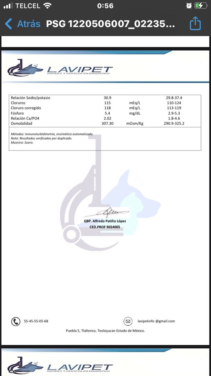 primero_perro's tweet photo. Los resultados de Adam y Aurora el día de ayer Tienen anemia Trombocitopenia y aumentados los leucocitos todo ello es indicativo de infección y desnutricion.Además elevadas enzimas hepaticas y urea que puede asociarse a leptospira. Requieren ambos otra prueba más para leptospira https://t.co/t5xdFjqJ7H