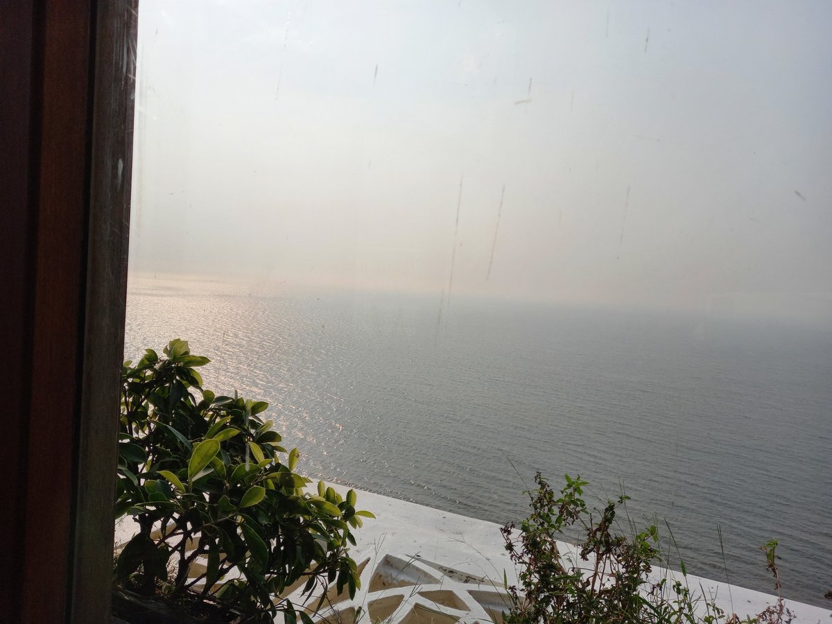 souravtwitting's tweet photo. OCEAN..

Life &amp; livelihood 🐚🦈🐡🐠🐳🐋

#WorldOceansDay2022 #ocean #oceanlife #nature https://t.co/4Ooiq8frBX
