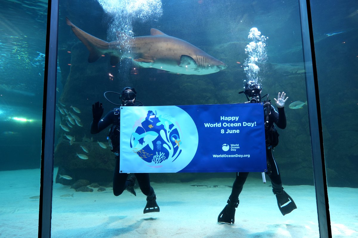 2OceansAquarium's tweet photo. We're teaming up with organisations from around the world to celebrate @WorldOceanDay with an important message - we need to protect 30% of our planet by 2030! #30x30 #30x30now
https://t.co/dgZgXjEJyk https://t.co/sBato7S2HU