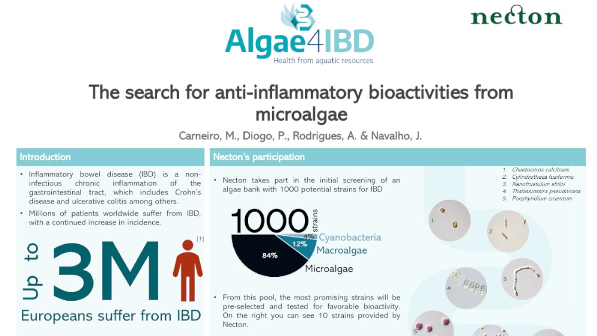 Algae4IBD's tweet photo. We're looking for #algae which produce #AntiInflammatory compounds because these could relieve #IBD. 

Visit experts from our partner @Phytobloom at their poster at #NAS22 to learn more!

Have a peak at their poster🤓👇 https://t.co/Tws7QCAJWd
