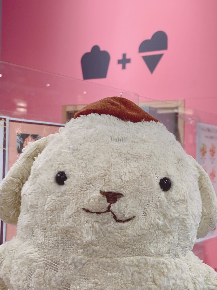 pakupurinn's tweet photo. U・ω・U『🗾✈️にほんはつじょうりく😆ブリジェラっていう、ジェラートやさんに、プリンいったプリーっ😘🍨💕
でもブリオッシュっていう、メインのパンうりきれで、プリンは、🍓いちごクレープにしたプリっ🍓🍨😊🍨🍓』
#府中
#LESIGNE
#ルシーニュ
#Brigela
#ブリジェラ https://t.co/lGxMdwiffH