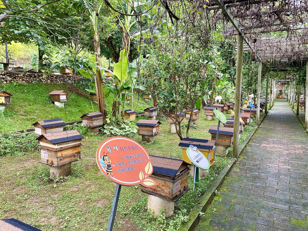 HolaFujian's tweet photo. Liangye Xianmi apiculture cooperative is a leading player in production of Wuping #honey, which is the first honey product in #Fujian to be awarded as a national geographical indication trademark. Its annual output of honey totaled180 tons, worth 2.7 million dollars. #PathToGreen https://t.co/gSTZHQrxec