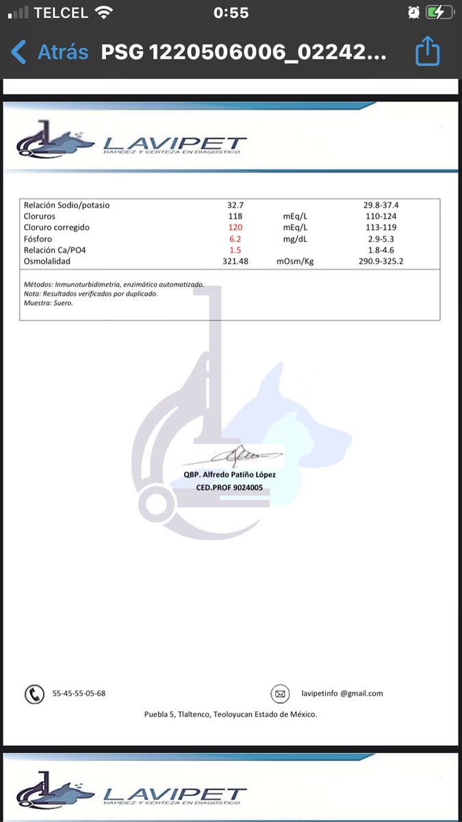 primero_perro's tweet photo. Sus pruebas tienen un costo de $250.

Siguen con terapia de fluidos.ADAM come mejor y se nota más activo,AURORA el día de ayer bebió su ensure sola. ¡Vamos con muchas ganas para salir adelante! 

¿Nos echas una pata?

Cuenta Bancomer
Clabe interbancaria  012180001146846051 https://t.co/JUSDvQmyEl