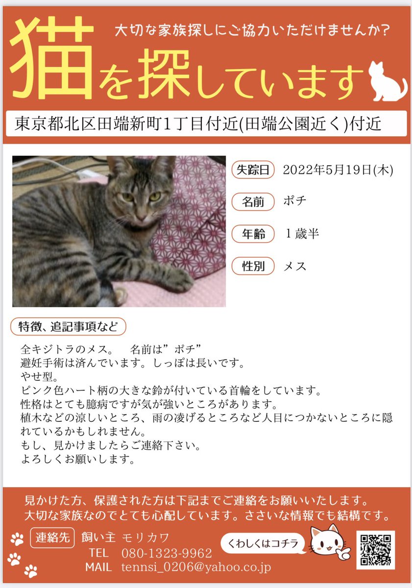 飼い主さん、ボランティアさんが探していますが、まだ見つからないそうです。
数件の情報がありましたが、発見にはいたっておりません。
情報、拡散よろしくお願いします🙇‍♀️
