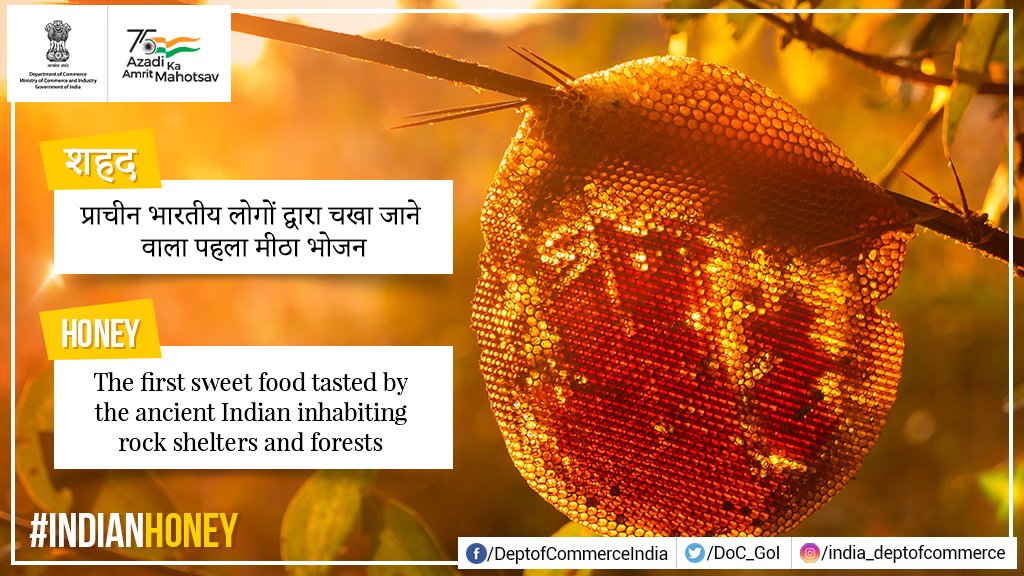 DoC_GoI's tweet photo. Honey is eaten for rejuvenation and immunity. Do you know India exports honey across the world?

शहद कायाकल्प और प्रतिरक्षा बढ़ाने के लिए खाया जाता है। क्या आप जानते हैं कि भारत दुनिया भर में शहद का निर्यात करता है? 
#IndianHoney #AatmanirbharKrishi https://t.co/2HUdpaZH2t