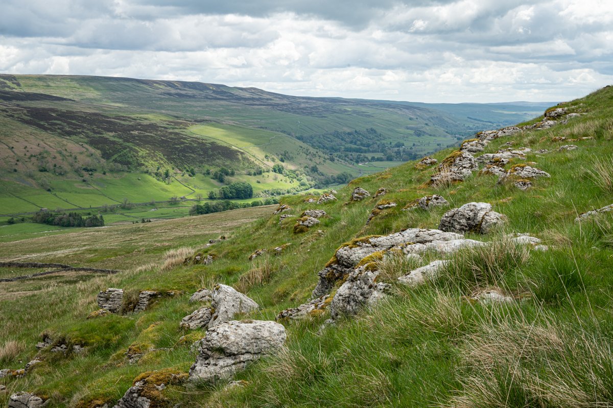 BF_Stubbs's tweet photo. Limestone outcrops jut from the slopes of Plover Hill, Foxup beck runs past Halton Gill to join the Skirfare in Littondale. Litton - original location for the TV series Emmerdale.
#YorkshireDales #Littondale #limestonescenery #PloverHill #Daleslandscapephoto #Foxup #HaltonGill https://t.co/eYaIyQ35KK