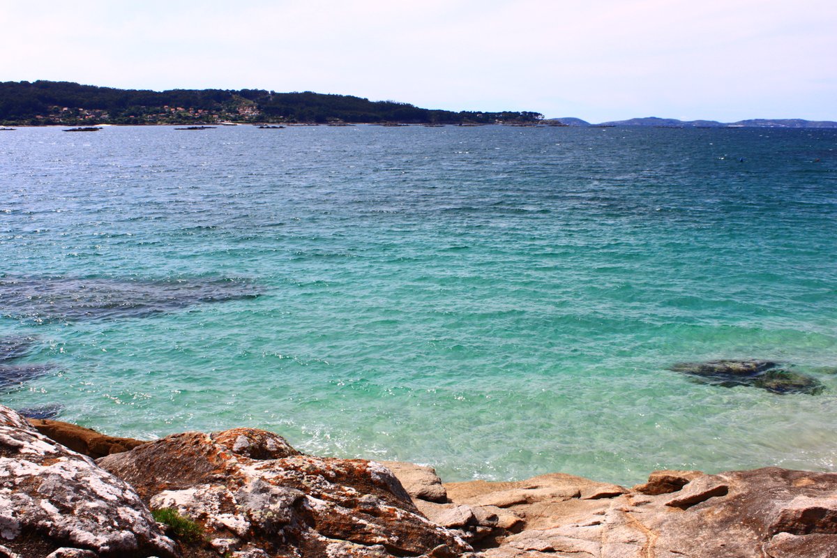 Fundación CETMAR tweet media