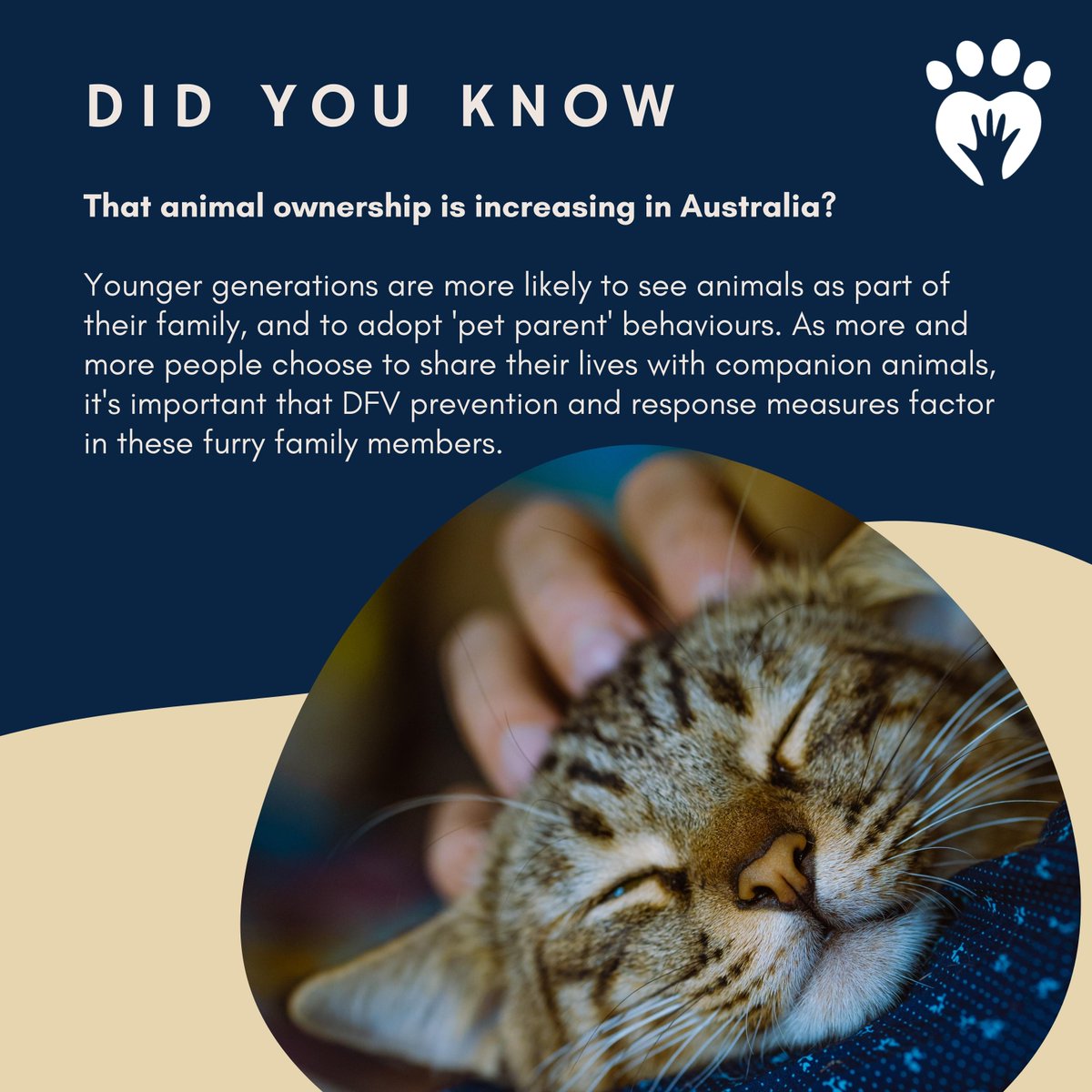 To learn more about how we improve access to supports for people and animals experiencing DFV, head to lucysproject.com.au 

#cat #tabby #IPV #VAW #DFV