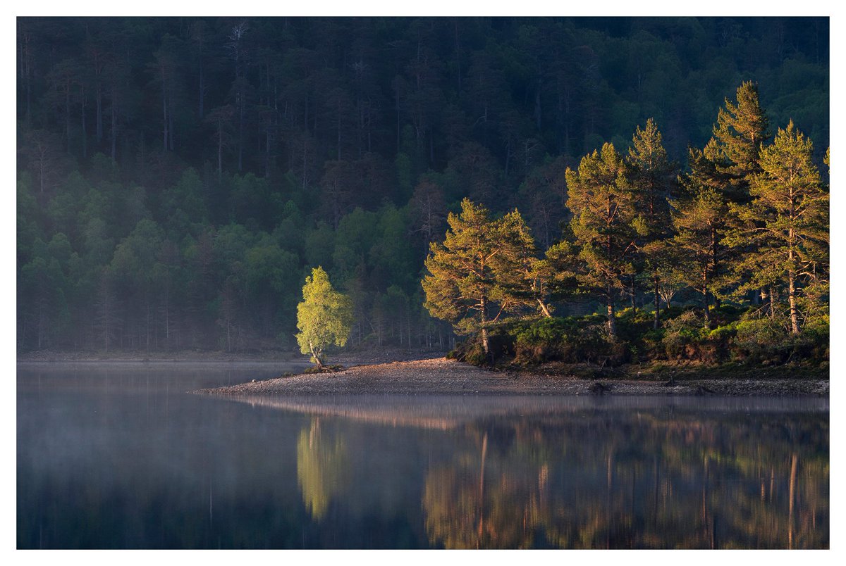 Who's been a naughty boy? 
Sunrise along #GlenAffric <a href="/VisitScotland/">VisitScotland</a> <a href="/glenaffric/">glenaffric</a>