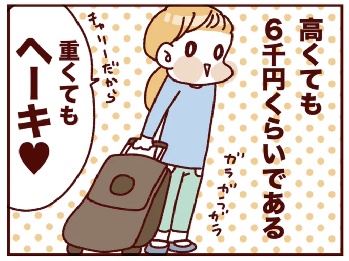 今何かと話題のさんぽセルですが、とても良いと思う。
ベルギーでも教科書等が重いとなった場合画像のようなキャリーで登校するしそれで何の問題も起こっていない。

ランドセルが重くてどうにかしなければいけないことは前から分かっていたのに、大人が解決してこなかった方が問題であるように思う。 
