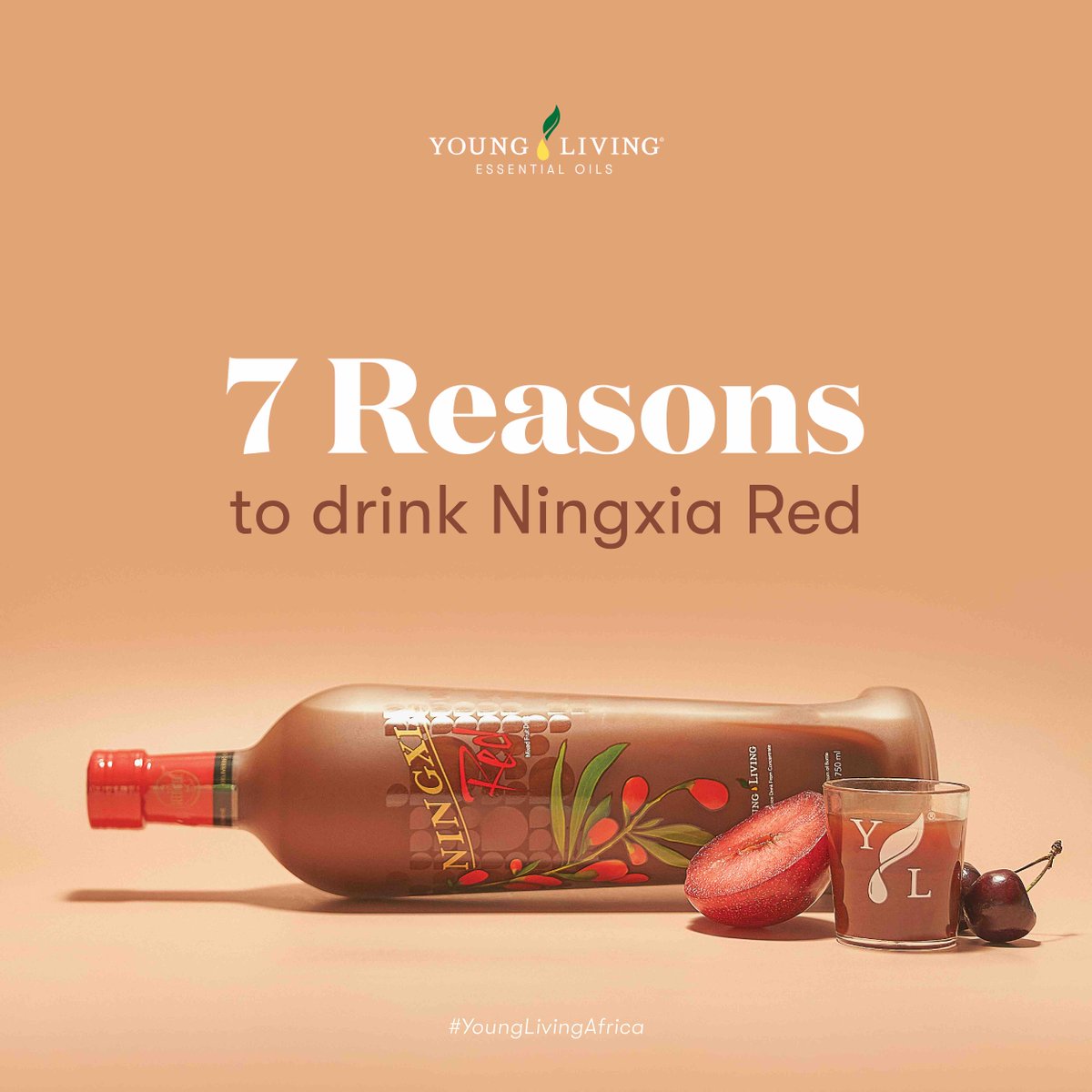 YoungLivingAF's tweet photo. #YLCleanLiving 🍃 isn't just about the products we use outside of our body, it is also about the ones we use inside our body. Enter #NingxiaRed ❤️ – a whole-body nutrient infusion!
SWIPE LEFT⬅️ to learn more! #YoungLivingAfrica
Shop now📲 https://t.co/rFo9LxSRDk T&Cs Apply! https://t.co/bvgDBbKaNc