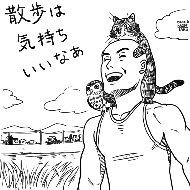 お散歩で思わぬ出会いがあったり

 #猫フク 