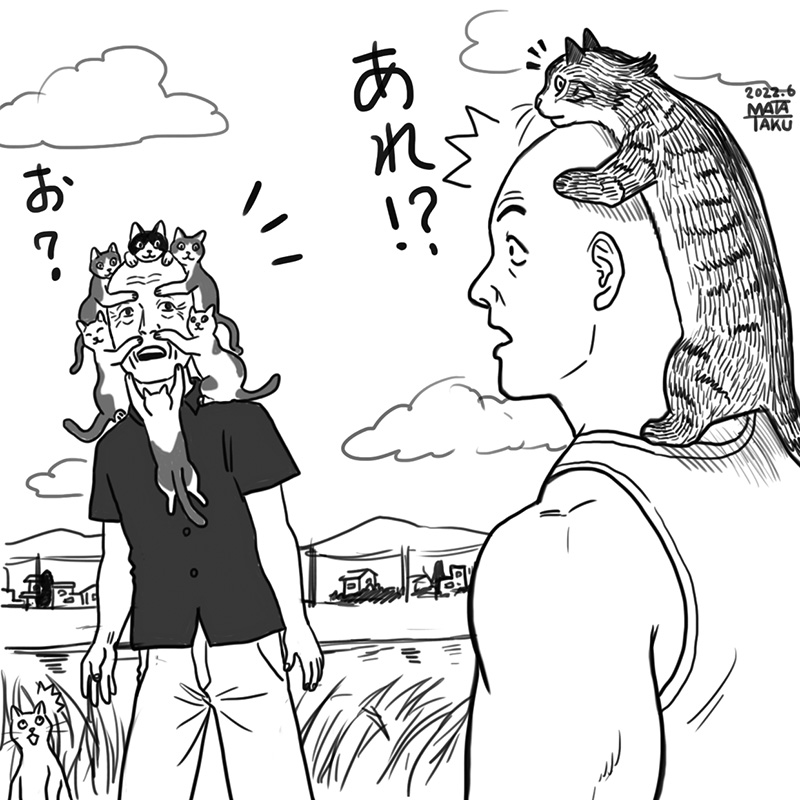 お散歩で思わぬ出会いがあったり

 #猫フク 