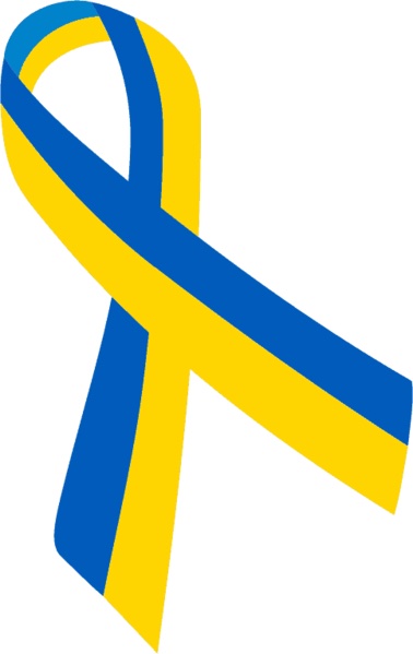 На самом деле поддержка украины на западе основывается на том, что укропы гоняют в цветах ассоциации даунов, и цивилизованным людям становится их жалко