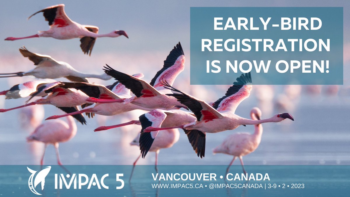 IMPAC5Canada's tweet photo. Happy #WorldOceanDay! On 8 June, the world pauses to reflect on the importance of the ocean. 🌊 Join ocean conservation professionals from around the 🌏🌍🌎: IMPAC5 early-bird registration is now open!  https://t.co/vKcIXB8NCO 
1/2 https://t.co/LRxkRh39fz