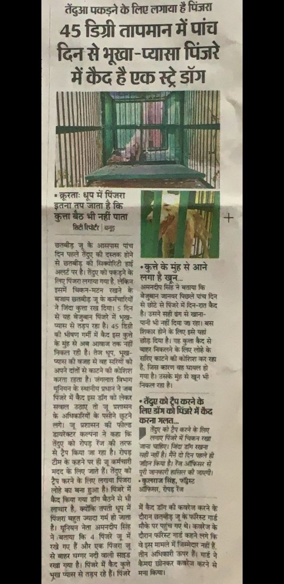 Just when I think, we have forwarded one step in making the world a better place for these kids, news like these always cringe my heart. This is Chatbir Zoo Officials, not another closeted sociopath. @chatbirzoo <a href="/AAPPunjabPolicy/">AAP Punjab Policy</a> <a href="/joedelhi/">Ajay Joe</a> <a href="/MowgliAid/">Mowgli Aid</a> <a href="/PunjabGovtIndia/">Government of Punjab</a>
